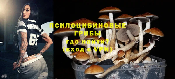 прущие крисы Абинск
