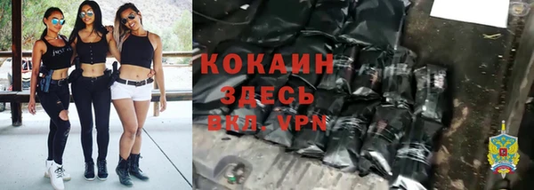 прущие крисы Абинск