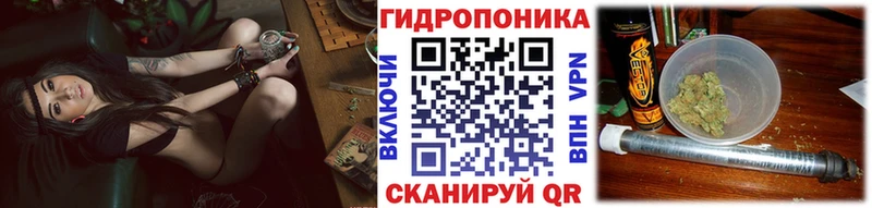 МАРИХУАНА сатива Абакан